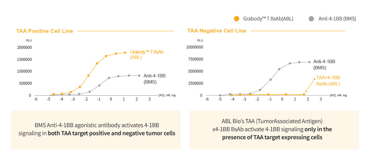 TAA Positive Cell Line/TAA Negative Cell Line
