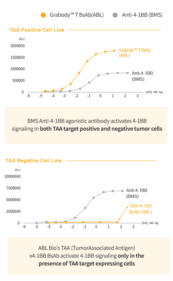 TAA Positive Cell Line/TAA Negative Cell Line