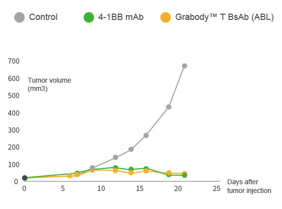 Anti-Tumor Effect with ABL’s Grabody™ T BsAb