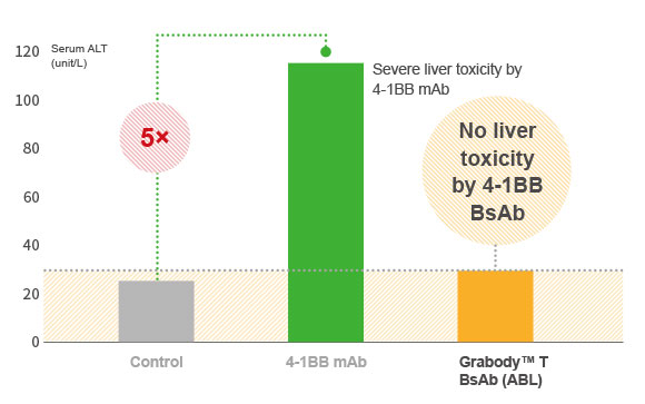 No Liver Toxicity with ABL’s Grabody™ T BsAb