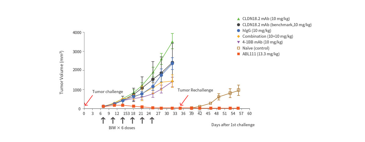 Superior Anti-Tumor Effect with Immunological Memory