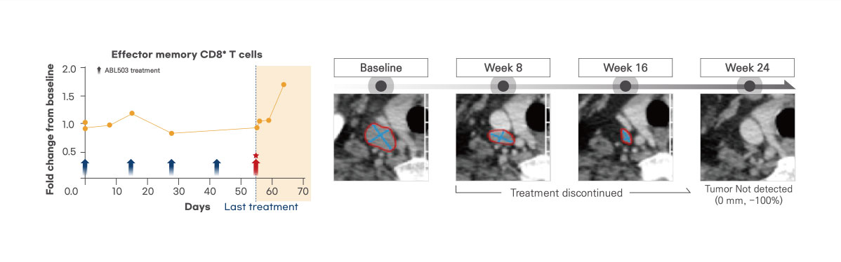 Induced effector memory T cells by ragistomig