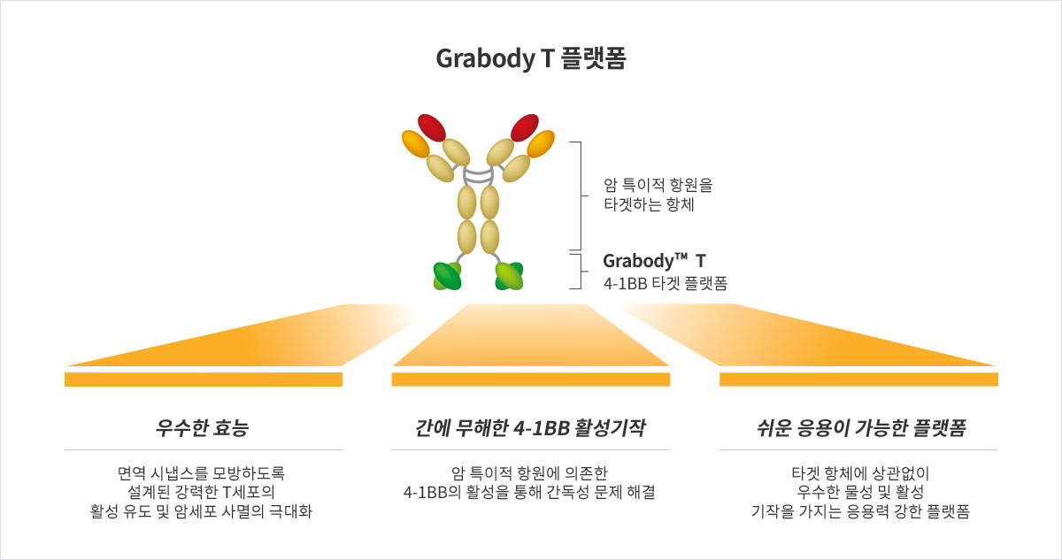 에이비엘 바이오의 면역항암 이중항체