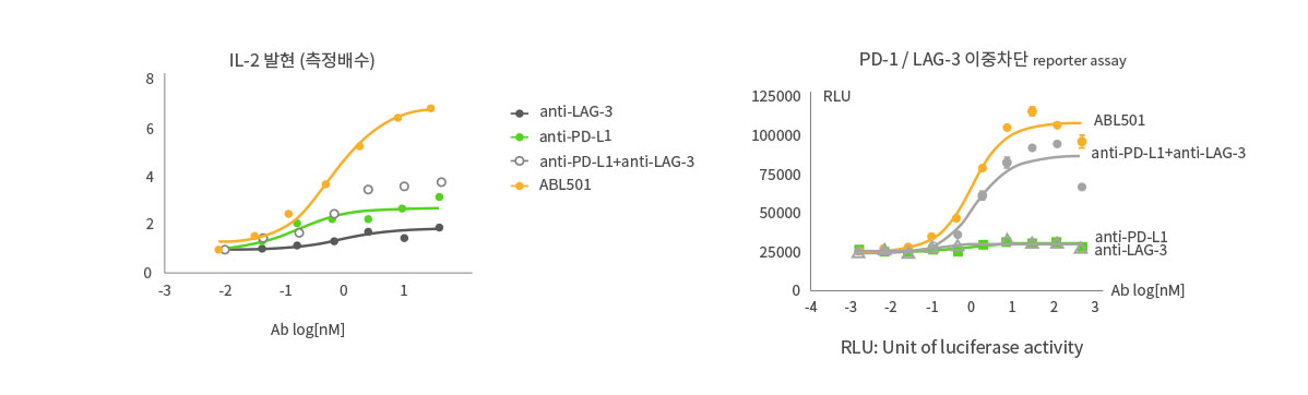 LAG-3 및 PD-L1 단일항체 병용 대비 우수한 T cell 활성능