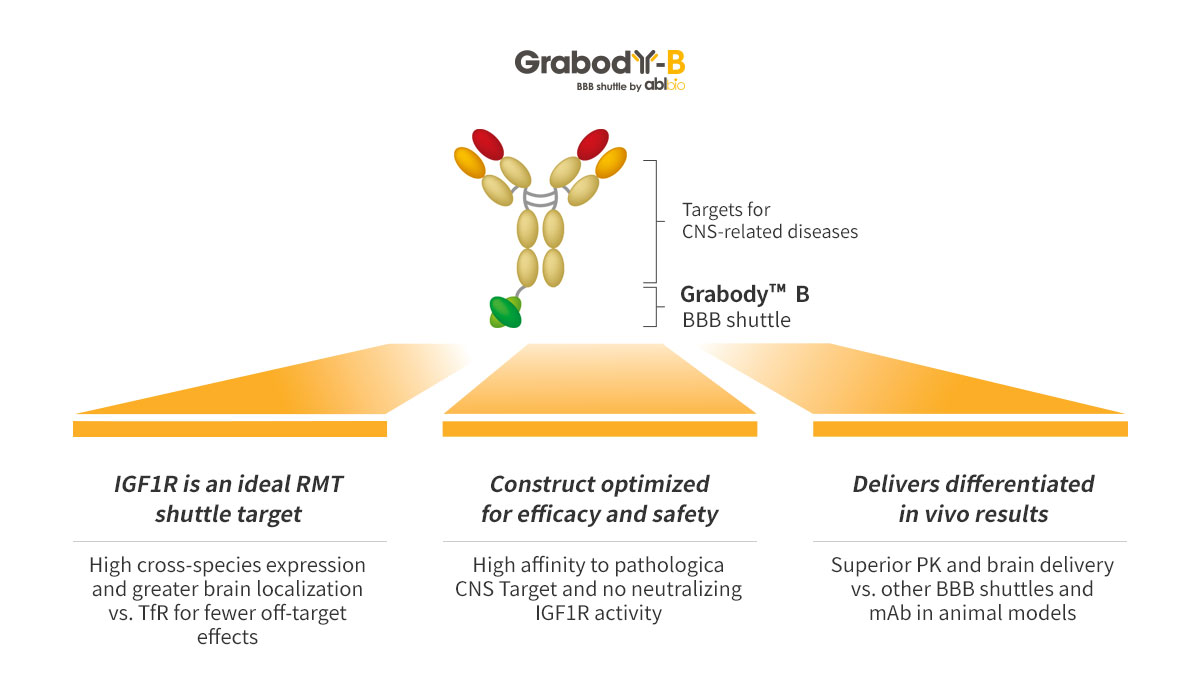 ABL30X is Designed to Overcome BBB-Penetrance Challenges of Traditional mAbs while Delivering Optimal Safety & Efficacy